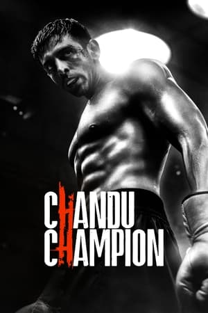 Chandu Champion 2024 Hindi – 480p – 1080p