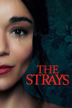 The Strays 2023 Hindi Dual Audio –