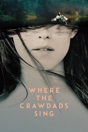 Where the Crawdads Sing (2022) Hindi Dual Audio –